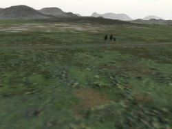 Team Alligator Vista