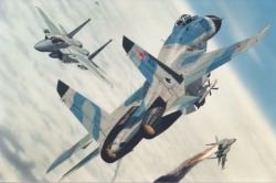 Flanker and Eagle