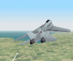 Flanker 2 F14 Tomcat