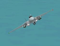 Flanker 2 F14 Tomcat