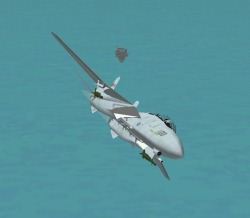 Flanker 2 F14 Tomcat