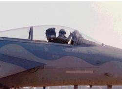 F15 C