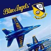 blue-angels-aerobatic-sim